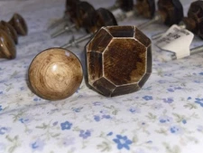 Set of 13, 70s Cabinets Hardware Round Furniture Knobs Country Rustic Distressed