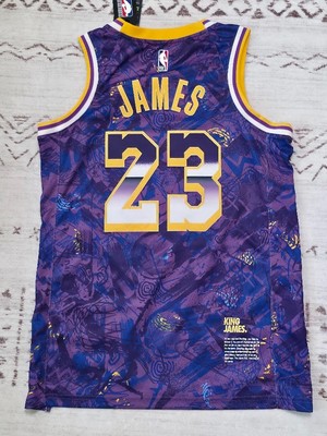 Nike NBA LA Lakers Lebron James #23 MVP Rookie of The Year Jersey