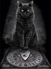 Halloween Black Cat Poster Print Wall Decor 10 x 13