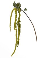 Artplants Deko Zweig Amaranthus Zweig Yasin, GrüN, 125Cm