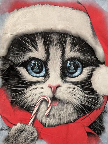 The Mountain Men's T-shirt Blue Christmas Kitten Santa Retired Logo #1692 NWOT