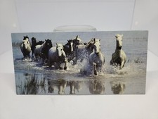 NESLE - MERVEILLES DU MONDE : CARTE " LE CHEVAL DE CAMARGUE #178 " VINTAGE 1980