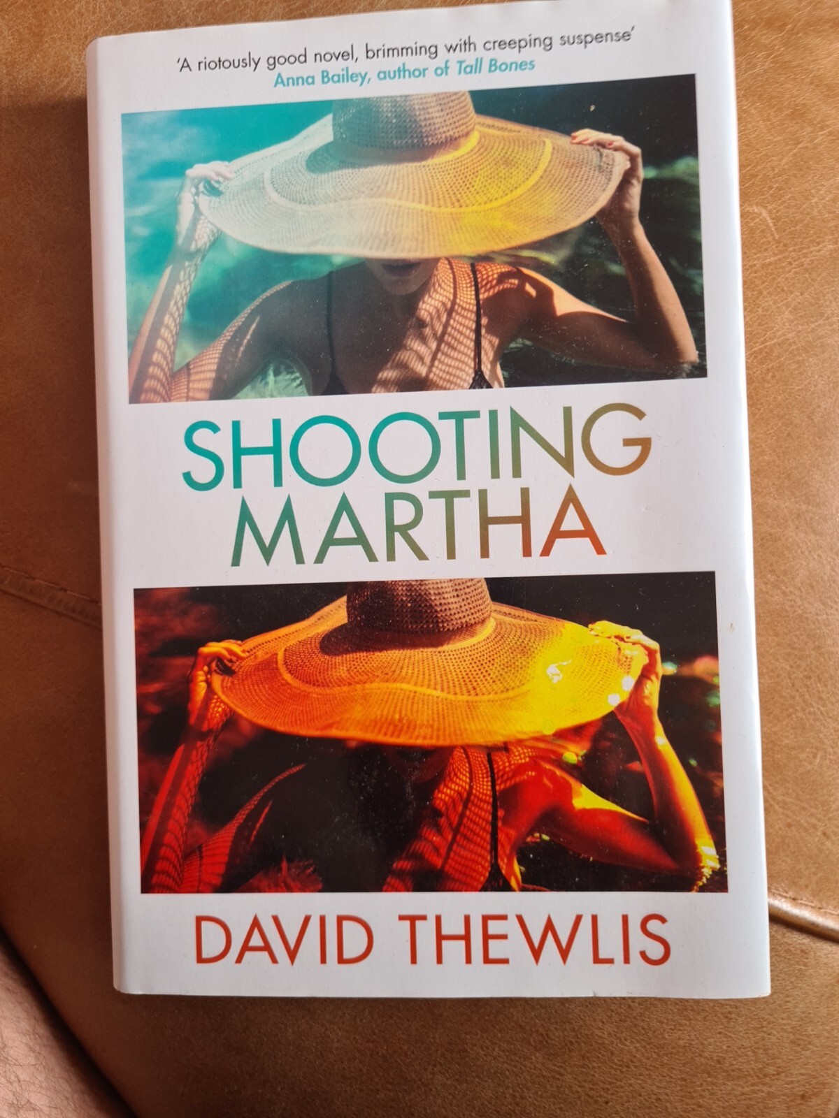 Shooting Martha by David Thewlis (Hardcover, 2021)
