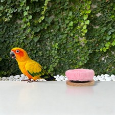 2 Pcs Parakeet Bed for Cage Bird Nest Snuggle Cockatiel Sleeping