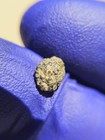NWA 12564 Martian Meteorite 0.152g Mini Individual Rare Shergottite COA — photo 8