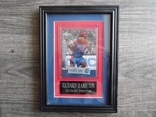 Richard Hamilton Detroit Pistons 2005-06 Upper Deck #95/100 Personalized Frame