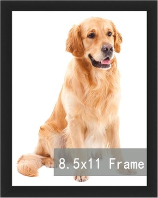8.5x11 Picture Frame,Document Frame Certificate Frames Display Diplomas 8.5x11