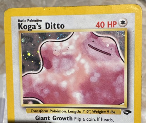 Koga's Ditto — Gym Challenge