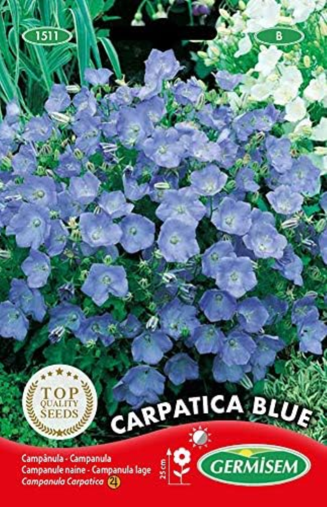 Carpatica Blue Semi di Campanula 0.5 g