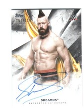 2019 Topps WWE Undisputed Wrestling Cards 19