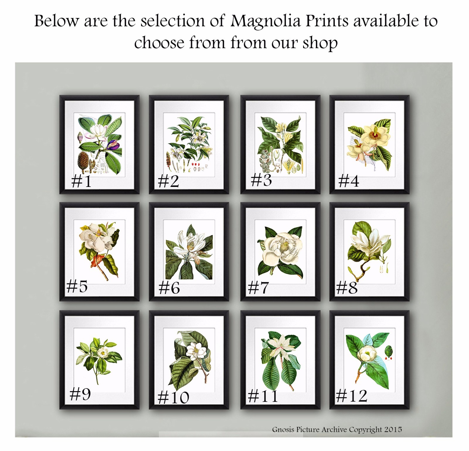 Botanical Art Prints set of 4 Unframed White Magnolia Decor ...