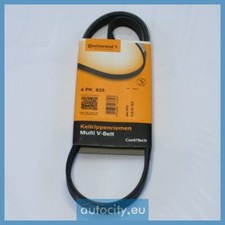 Courroie de distribution Rover 825