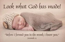 Look What God Has Made Pro-Life Poster (Pack of 10)