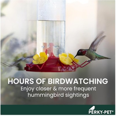 Durable Plastic Hummingbird Feeder - 8oz Nectar Capacity