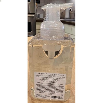 Moisturizing Eucalyptus Mint Foaming Hand Soap in Elegant Pump Dispenser