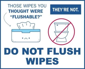 Do Not Flush Wet Wipes Only Flush Toilet Paper Self Adhesive Warning Sticker