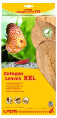 sera Catappa Leaves XXL 32 cm 10 Stück Seemandelbaumblätter Wasseraufbereitung