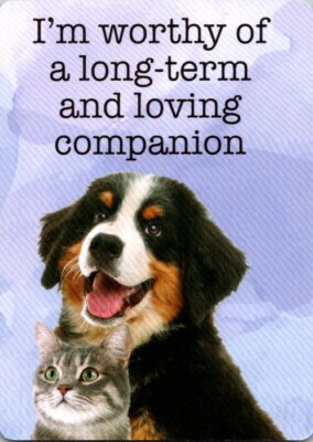 2024 I'm Worthy of a Long Term and Loving Companion Cat Dog Trading Card Kalan