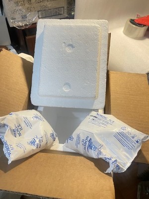 Styrofoam Insulated Medical Cooler 12''Hx12''Lx10''WwShipping Box 2 Gel Ice PacksDR