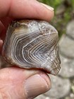 Lake Superior Agate 1.38oz — photo 2