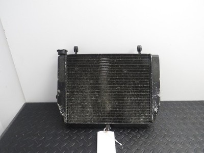 99-02 YAMAHA YZF R6 YZFR6 OEM Werk Rad iator Ohne Lecks