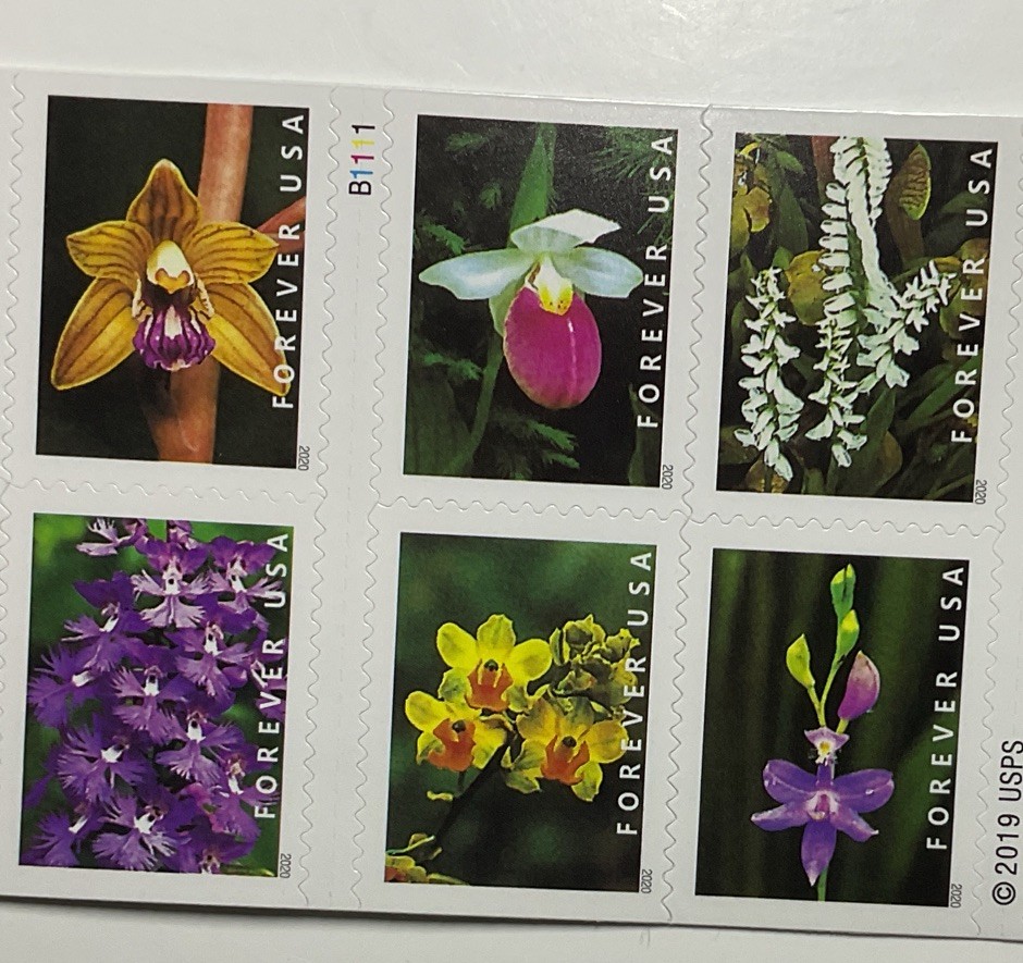 20 Authentic FOREVER FIRST CLASS LETTER STAMPS WILD ORCHIDS STAMPS MNH 2020 BOOK
