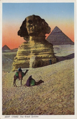 c1910s Egypt RPPC Great Sphinx of Giza Pyramids Real Photo Postcard