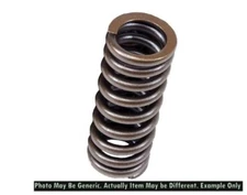 BLOX Racing BXPT-20301 Valve Springs for D-series SOHC VTEC