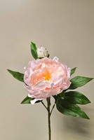 Artplants Kunstblume Pfingstrose Fyrfar, Offen, Hellrosa, 60Cm