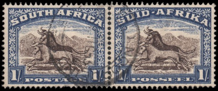 South Africa #62 Used pair