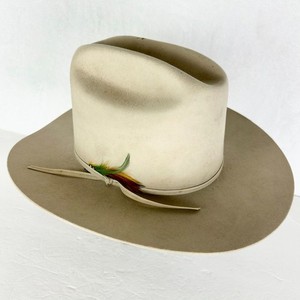 Stetson 3X Beaver Hat | eBay