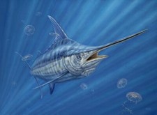 Ceramic Backsplash Tile Mural Fishing Kitchen/Bathroom/Shower - Out of the Blue