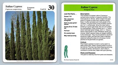 Italian Cypress #16 Evergreen Trees - My Green Gardens 1987 Cardmark Card