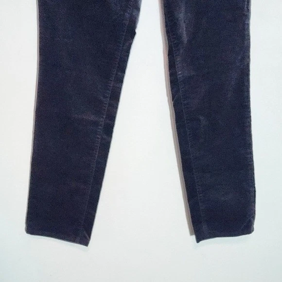 Ann Taylor Petite Dark Gray Velvet Pants NWT Size 10 Petite The Skinny Pants - Image 4 of 4