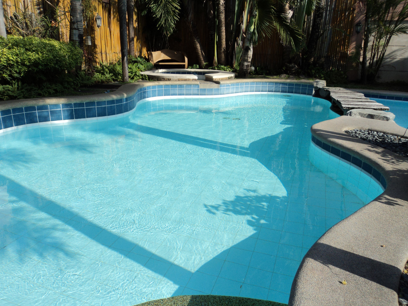 Pool service professional business software-automated customer billing-repairs  