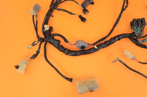 2007 07 Rancher 420 TRX420FE OEM Main Wire Harness Electrical Wiring Assembly - Afbeelding 9 van 11
