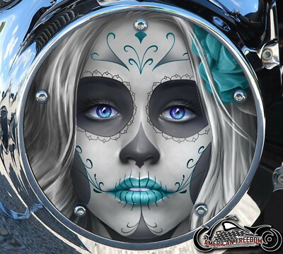 HARLEY DAVIDSON 2019+ SOFTAIL DERBY CLUTCH PRIMARY COVER DAY OF DEAD