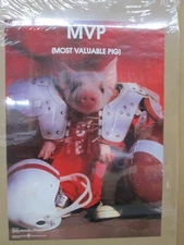 MVP most valuable pig vintage 1981 pig  19071