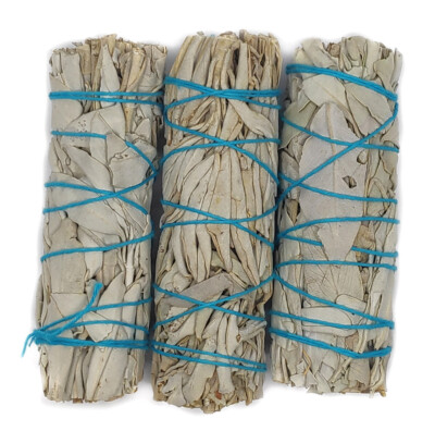 Weißer Salbei, 3 kleine Bündel (~11cm) aus Kalifornien, white sage smudge sticks