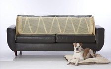 Pets Off of Your Furniture Beige