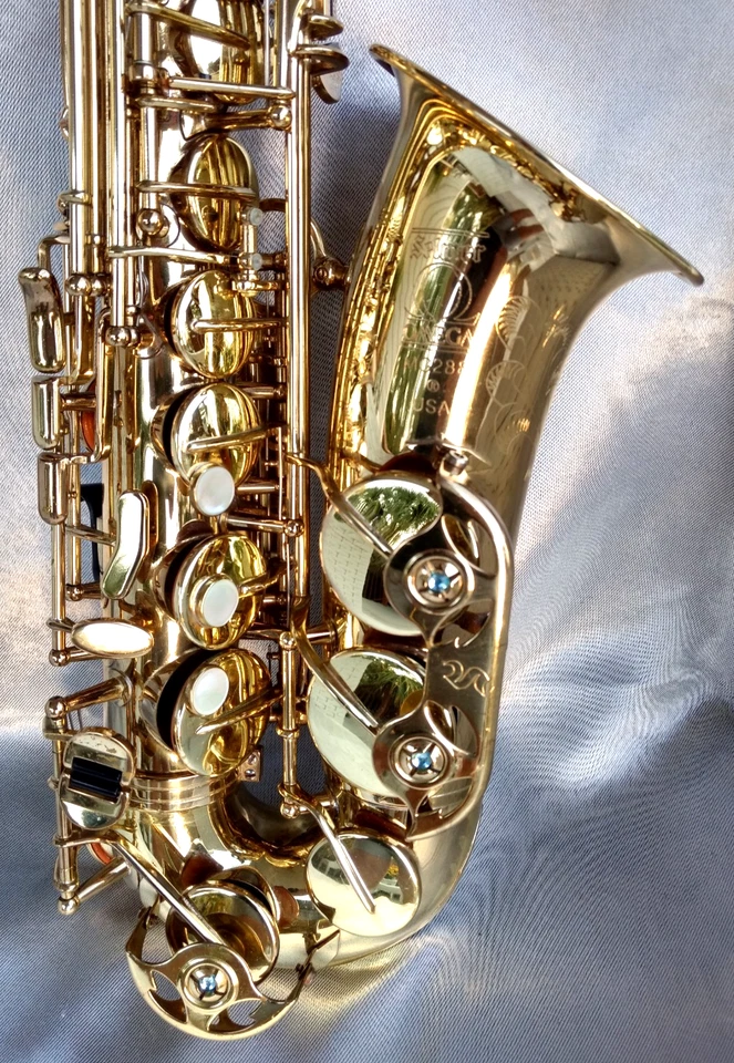 Saxo alto SELMER OMEGA MG288 EE. UU. con estuche original y Vitol Mpc. - LISTO PARA JUGAR Foto 3 de 4