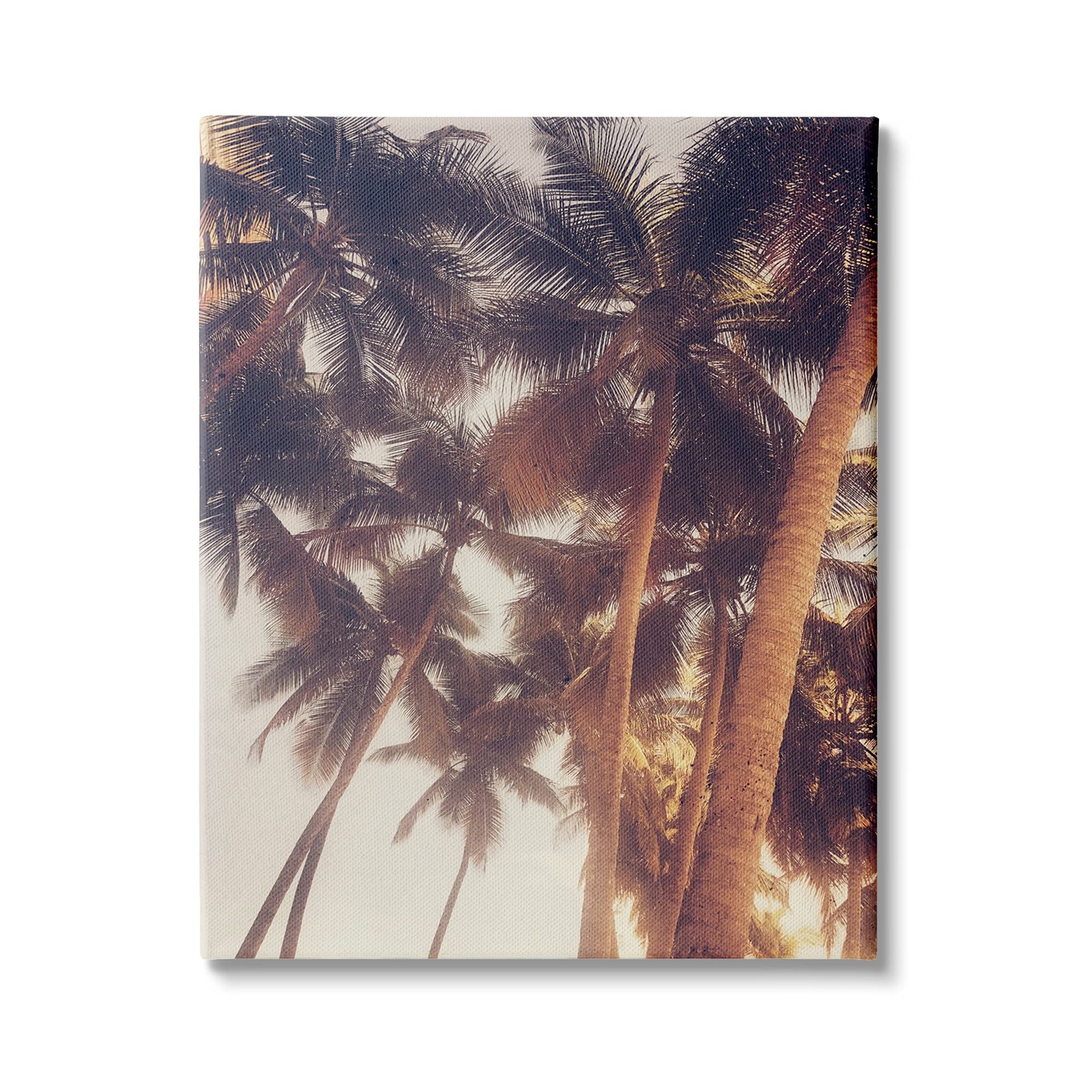 Sun Bleached Palm Tree Tops Vintage Summer Sky Design by Acosta Canvas Wall Art