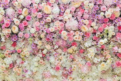 VINYL Fototapete XXL TAPETE bunte Blumen Natur 2203