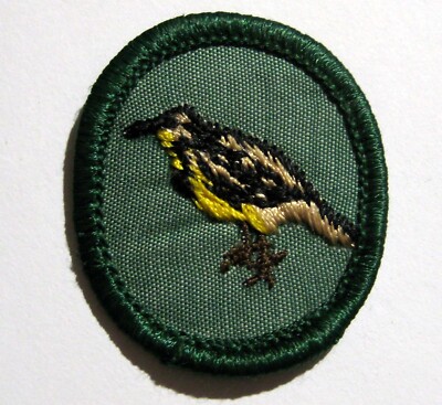 Vintage 1970-1974 Girl Scout MEADOWLARK TROOP CREST Yellow Bird Patch Badge ID