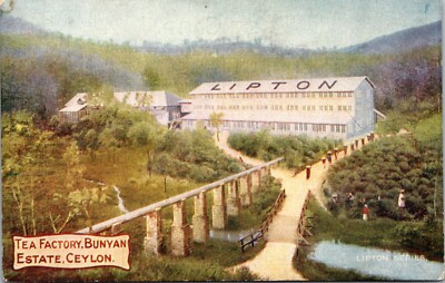 Lipton Tea Factory Bunyan Estate Ceylon Postcard