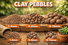 Clay Pebbles Natural Aqua Terrarium Hydroponics Garden Decretive use houseplants
