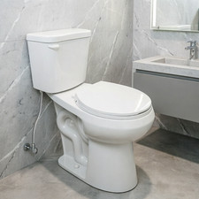 HOROW 19 Inch Two-Piece Toilet MAP 1000g 1.28 GPF Single Flush Round Bowl White