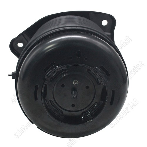 For Lexus RX270 350 450H AWD 09-15 Rear Right Air Spring Bag Pneumatic Cylinder - Picture 6 of 9