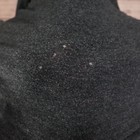 Bild 8 von 8
