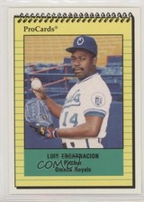 1991 ProCards Minor League Luis Encarnacion #1029 0w6